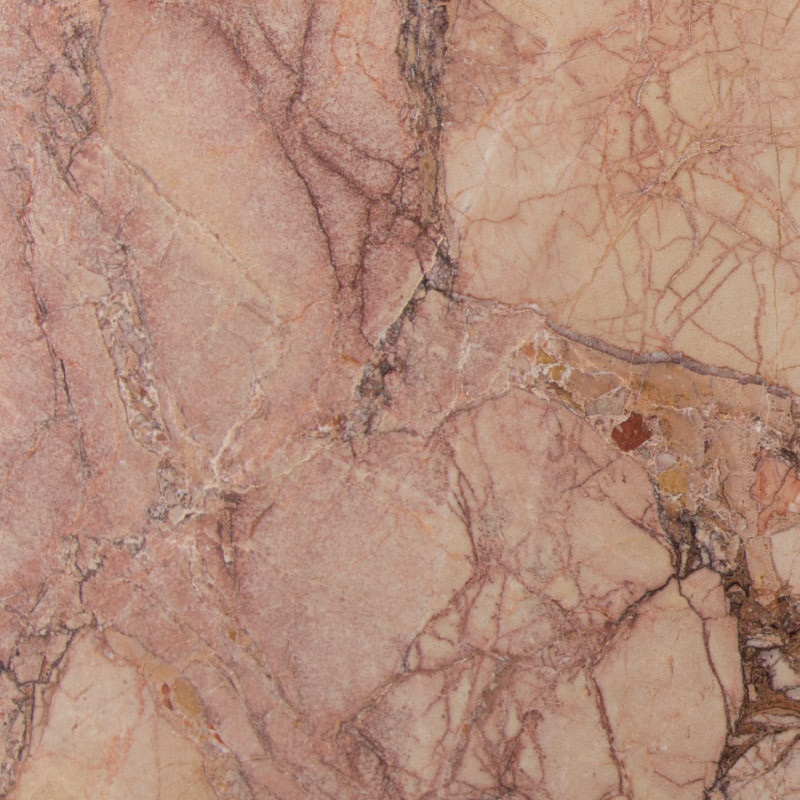 BRECCIA PERNICE CHIARA - ROSA