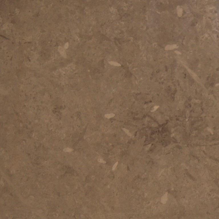 BROWN CARTAGE - MARRONE