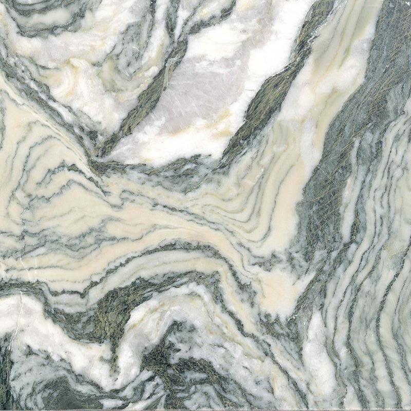 CIPOLLINO APUANO - BIANCO