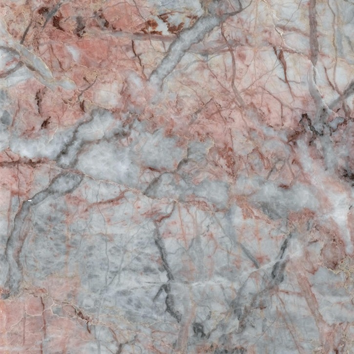 FIOR DI PESCO CARNICO - GRIGIO