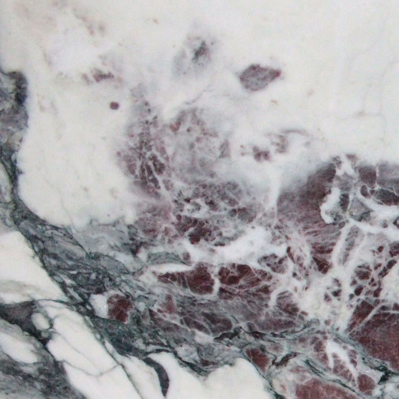 FIOR DI PESCO CLASSICO APUANO - BIANCO