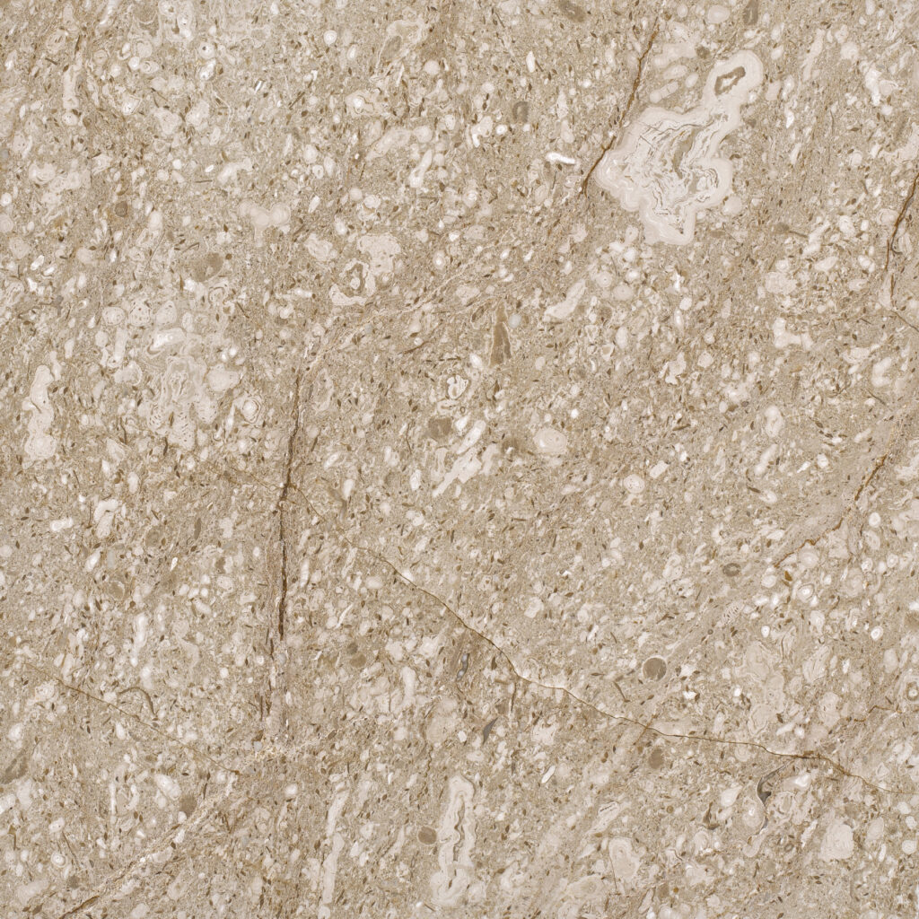 LYCA BEIGE - BEIGE