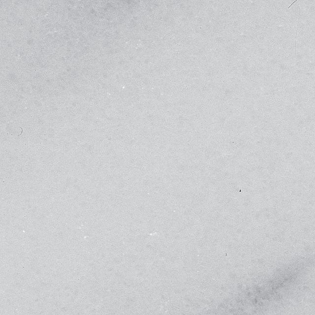SEMI WHITE OF STENOPOS - BIANCO