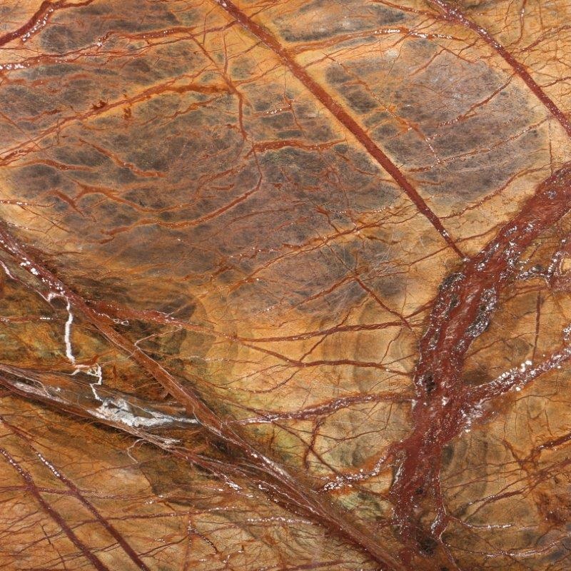 RAIN FOREST BROWN - MARRONE
